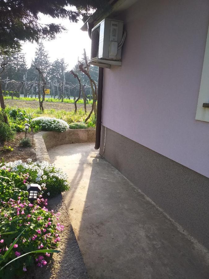 Istra Διαμέρισμα Κόπερ Εξωτερικό φωτογραφία